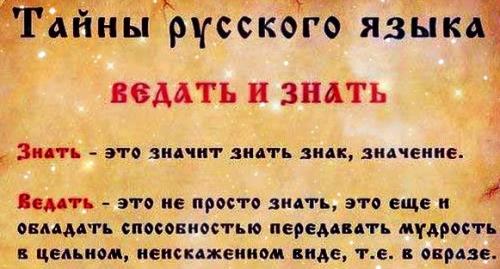 Интересное слово в русском языке и его значение. Необычные слова и их значения