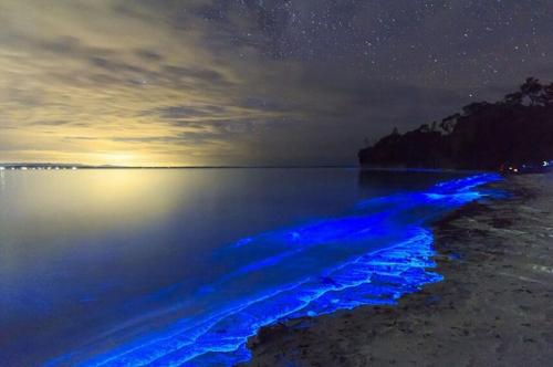 Интересные факты о Черном море. 30 интересных фактов о Черном море