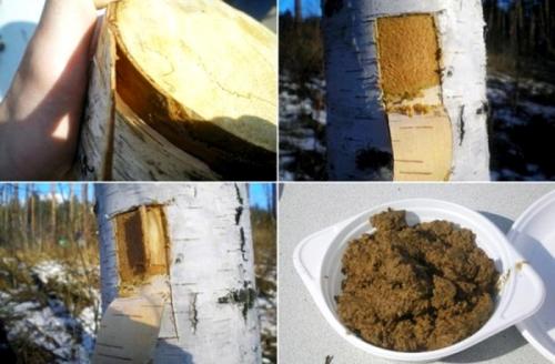 Старинные блюда. Меню времен князя Владимира Крестителя (рубеж Х - ХI вв.)