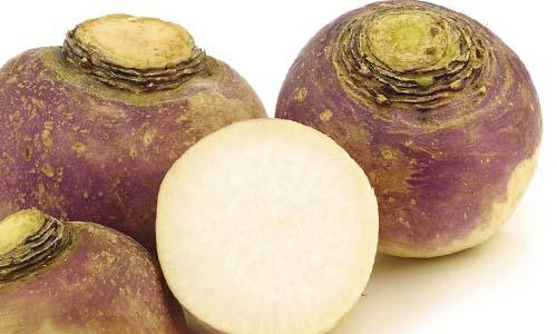 Что ели на руси до картошки. Щи да каша – пища наша: что ели простые крестьяне на Руси, пока Петр I не привез картофель