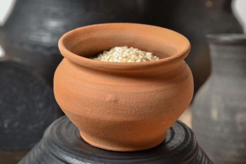 Что ели на руси до картошки. Щи да каша – пища наша: что ели простые крестьяне на Руси, пока Петр I не привез картофель