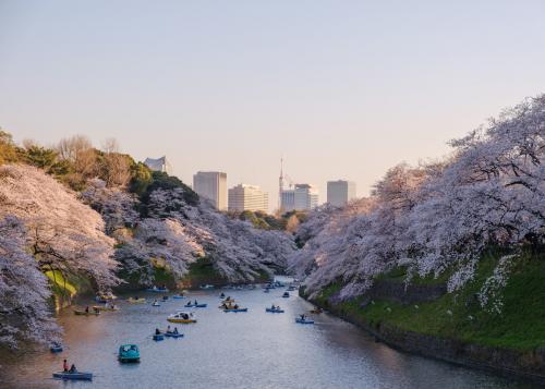 Самый большой город в мире по площади 2023. Самые большие города по населению