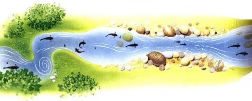 Как ловить рыбу для начинающих. Знакомимся с водоемом