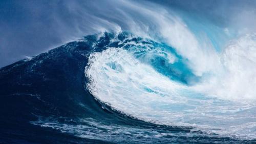 Что в океане. Тихий океан