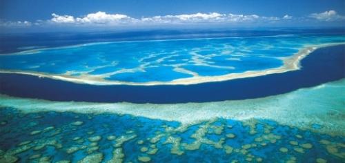 Интересные факты о океане. Самые интересные факты об океанах