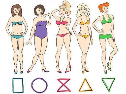 Типы фигур. Типы женских фигур и как определить свой