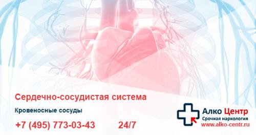 Как восстановиться после запоя народными средствами. Что делать после длительного запоя: восстановление