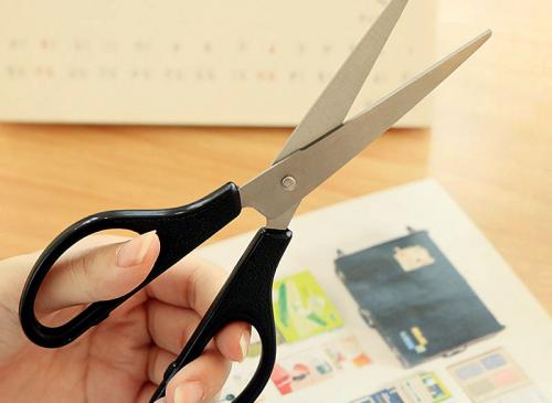 20+ любопытных фактов ОБО всем на свете. ТОП 20: Самые интересные факты ОБО ВСЁМ на свете