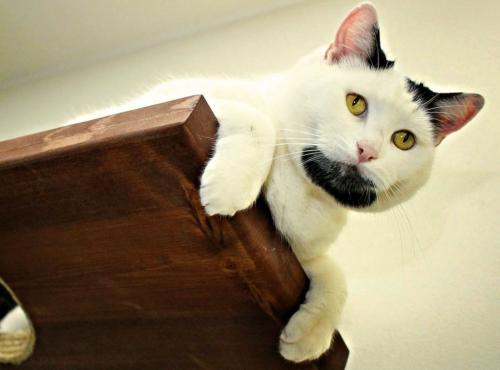 20+ любопытных фактов ОБО всем на свете. ТОП 20: Самые интересные факты ОБО ВСЁМ на свете