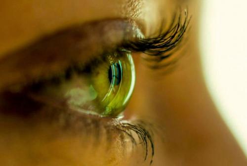 20+ любопытных фактов ОБО всем на свете. ТОП 20: Самые интересные факты ОБО ВСЁМ на свете