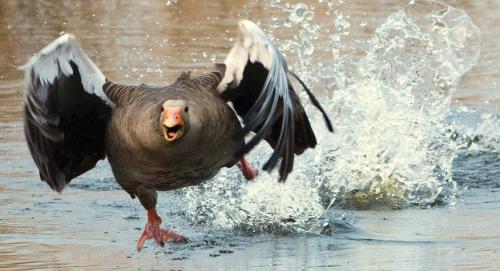20+ любопытных фактов ОБО всем на свете. ТОП 20: Самые интересные факты ОБО ВСЁМ на свете