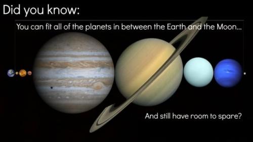 Познавательные факты обо всем на свете. Подборка интересных фактов обо всем на свете (15 фото)