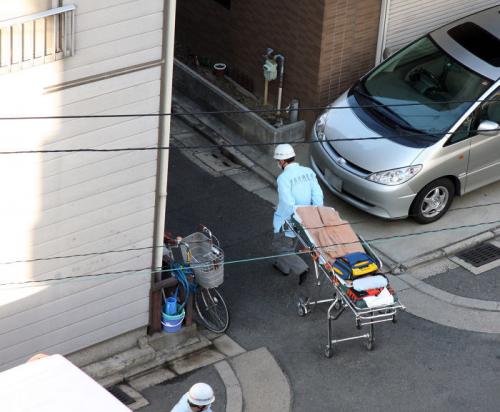 99 малоизвестных фактов обо всем. Малоизвестные факты обо всем на свете 13 99 малоизвестных фактов обо всем. Малоизвестные факты обо всем на свете 13