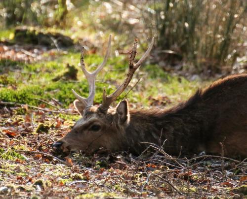 99 малоизвестных фактов обо всем. Малоизвестные факты обо всем на свете 20 99 малоизвестных фактов обо всем. Малоизвестные факты обо всем на свете 20