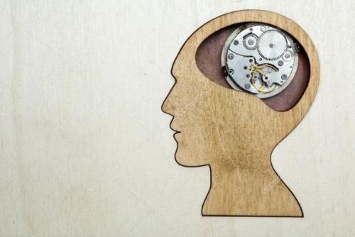 Познавательные факты обо всем на свете. Подборка интересных фактов обо всем на свете (15 фото)