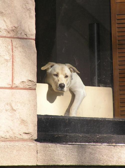 Интересные и познавательные факты обо всём на свете. Интересные факты - новые посты 03