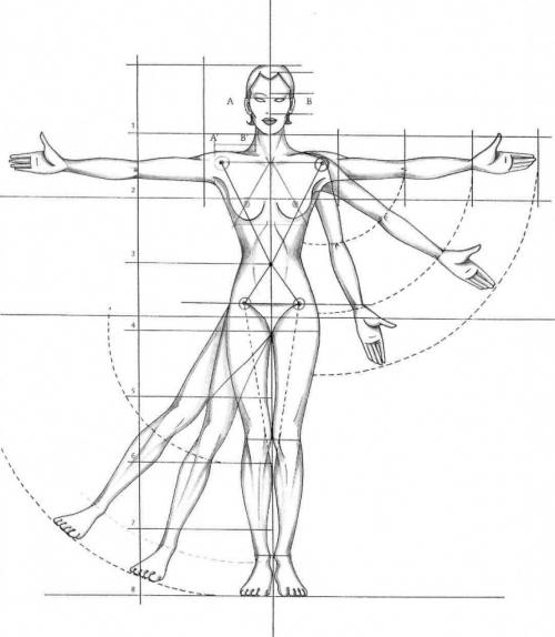Идеальная женская фигура. Вступление