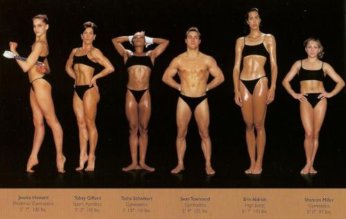 Какой спорт и как влияет на женскую фигуру. Какие женские виды спорта выбрать 13 Какой спорт и как влияет на женскую фигуру. Какие женские виды спорта выбрать 13