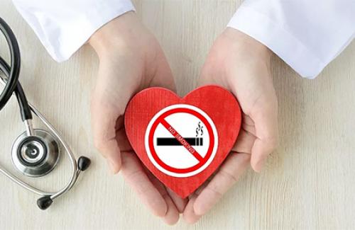 Как никотин влияет на работу сердца и кровообращение. Никотин и сердце, риск инфаркта