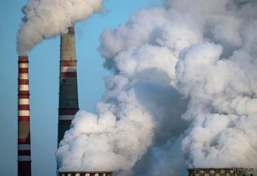 Самые необычные и странные налоги в мире (12 фото)