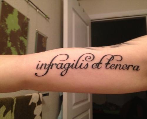 Красивые фразы для татуировок. Фразы для тату 04 Красивые фразы для татуировок. Фразы для тату 04
