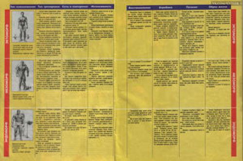 В каком спорте самые красивые фигуры. Фигуры спортсменов разных видов спорта 15