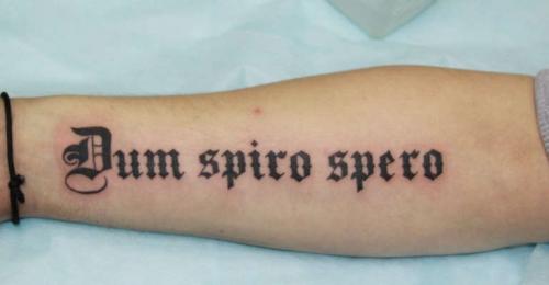 Тату на латыни с переводом. Татуировка с надписью на латыни с переводом для мужчины