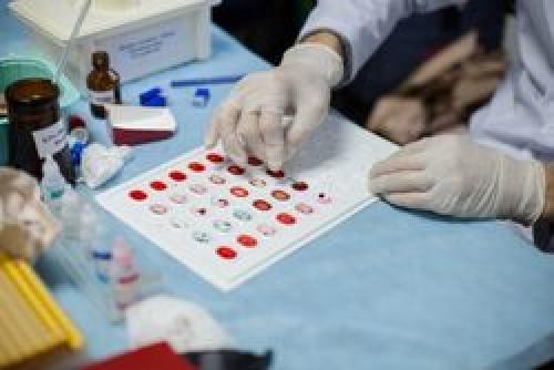 Сколько держится алкоголь в крови после запоя: что нужно знать 06