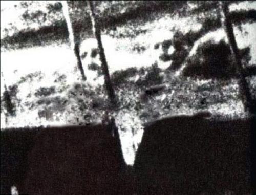 Интересные факты об океане. 50 интересных фактов: «По морям, по океанам!» 25