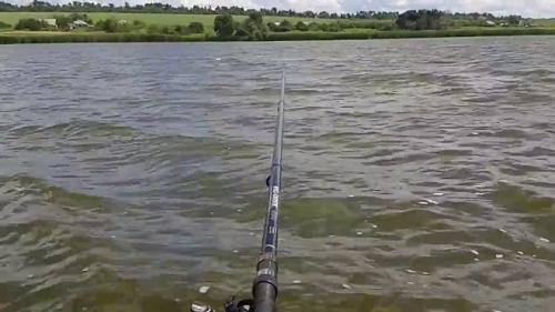 Какая роль погоды, связанной с ветром, в активности карасей. Какое направление ветра лучше для рыбалки на карася