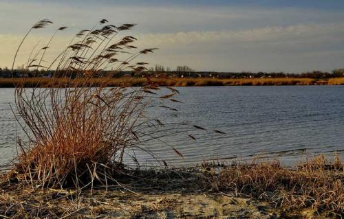 Как ветер влияет на температуру воды и клёв карасей. При каком направлении ветра лучше клюет карась