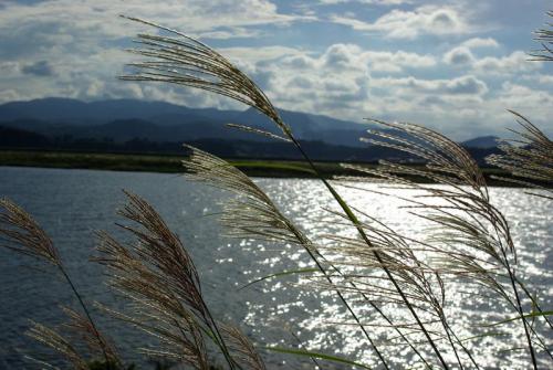 Как ветер влияет на температуру воды и клёв карасей. При каком направлении ветра лучше клюет карась
