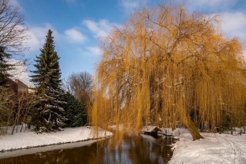 Как ветер влияет на температуру воды и клёв карасей. При каком направлении ветра лучше клюет карась
