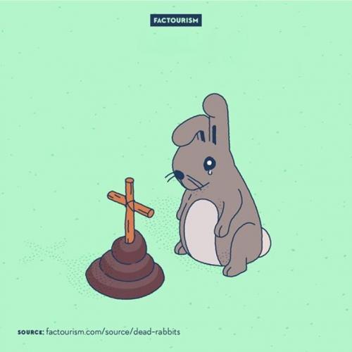 Какие факты о нашем мире вы считаете самыми невероятными. 20+ головокружительных фактов о мире, которые звучат, как вымысел