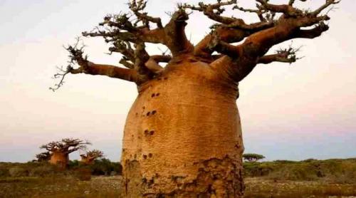 Какие факты о нашем мире вы считаете самыми захватывающими. 10 УДИВИТЕЛЬНЫХ ФАКТОВ О МИРЕ