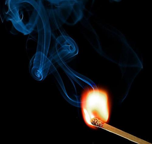 Какие из этих фактов могут быть наиболее удивительными. 30 интересных фактов, которые на 100% правдивы