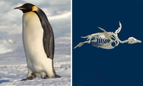 Какие из этих фактов могут быть наиболее удивительными. 30 интересных фактов, которые на 100% правдивы