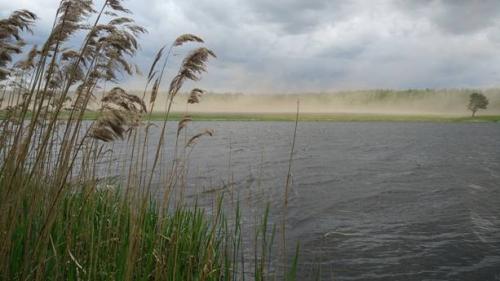 Может ли восточный Ветер быть благоприятным для ловли карася. При каком направлении ветра лучше клюет рыба