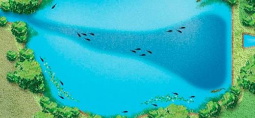 Какие ориентиры на берегу помогают определить перспективное место. Как найти бровку или яму?