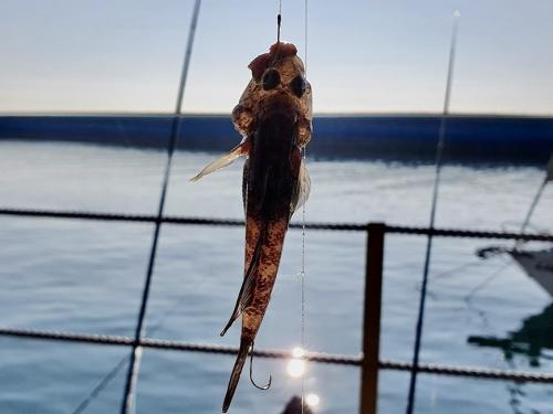 Можно ли ожидать хорошего клева во время шторма. В любую погоду и при любом шторме