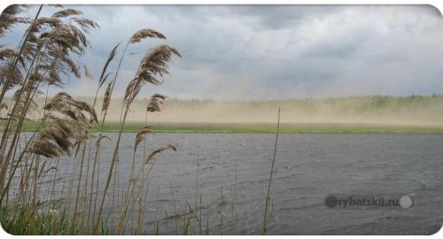 Какой ветер любят рыбы? Секреты успешной рыбалки 01 Какой ветер любят рыбы? Секреты успешной рыбалки 01