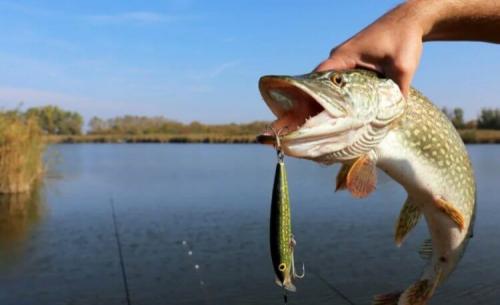 Можно ли ловить рыбу в ветреную погоду на озёрах. В какую погоду и время лучше ловить рыбу