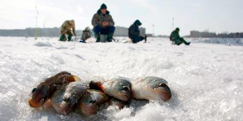 Ранневесенняя рыбалка: 5 главных советов для хорошего улова 02 Ранневесенняя рыбалка: 5 главных советов для хорошего улова 02