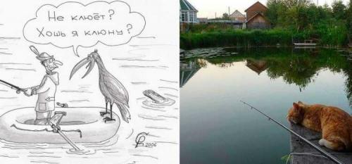 Когда рыба не клюет: причины и решения 04 Когда рыба не клюет: причины и решения 04