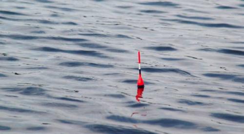 Есть ли разница в клеве рыбы при порывистом и стабильном ветре. Почему от силы ветра зависит клев рыбы