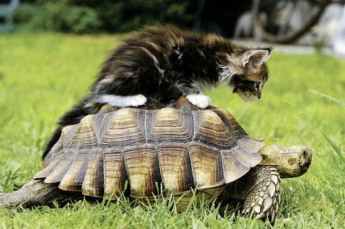 Какой факт из списка 19 фактов вы считаете самым впечатляющим. 19 сногсшибательных фактов, которые являются правдой