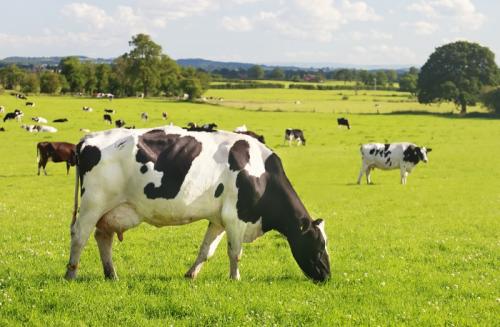 Какой факт из списка 19 фактов вы считаете самым впечатляющим. 19 сногсшибательных фактов, которые являются правдой