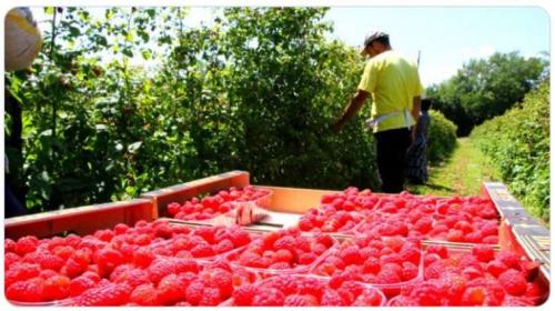 Невероятные факты о государствах мира. 35 редких фактов о странах мира, которые однозначно вас удивят