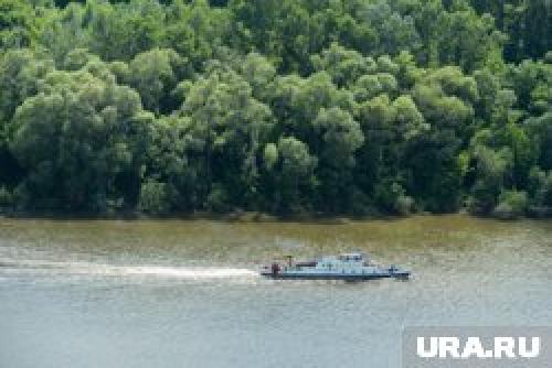 Какая погода наиболее благоприятна для рыбалки весной 2025. Где поймать гигантскую рыбу размером с человека: реки, озера и водоемы. Инфографика