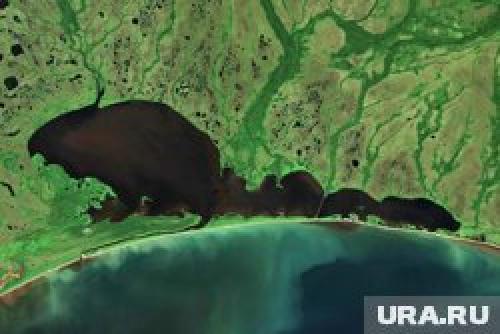 Какая погода наиболее благоприятна для рыбалки весной 2025. Где поймать гигантскую рыбу размером с человека: реки, озера и водоемы. Инфографика